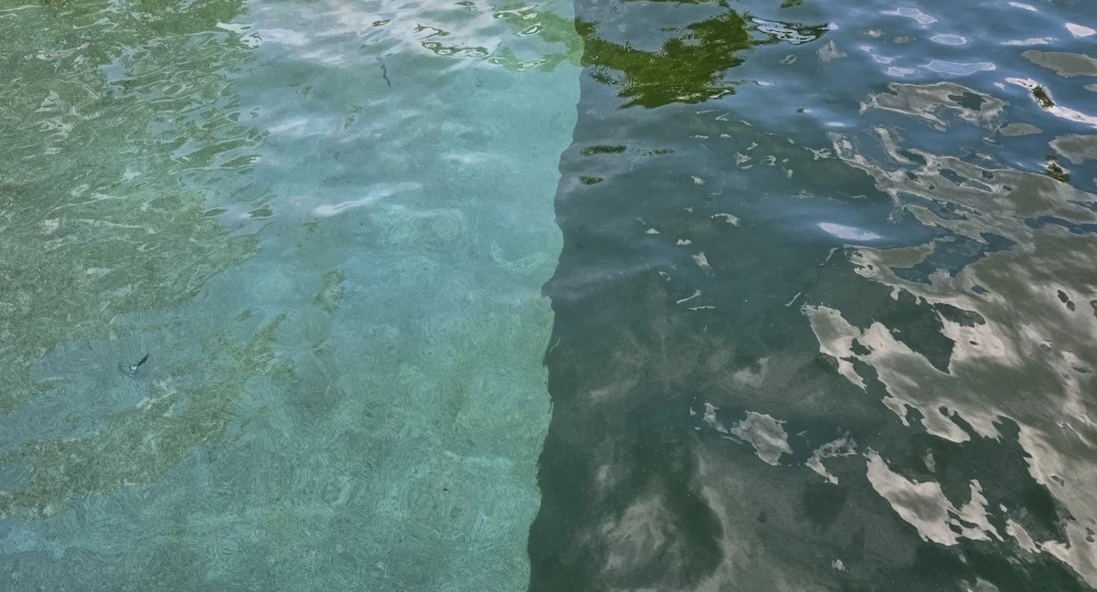 green Discount pool